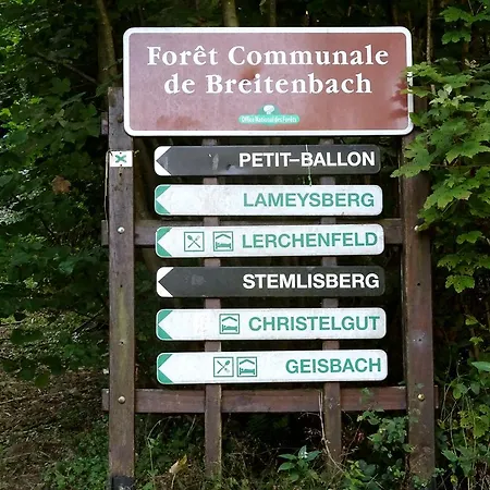Gite Chez Mimie Breitenbach-Haut-Rhin Exterior photo