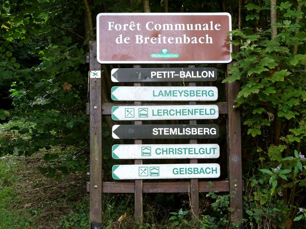 Holiday home Chez Mimie Breitenbach-Haut-Rhin